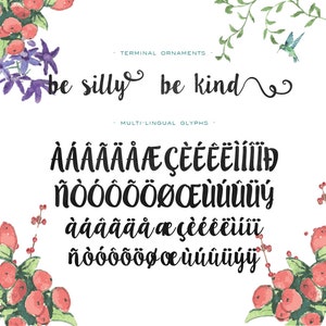 Ink Blossoms Hand Drawn Font Commercial Download aka LillyBelle image 3