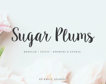 Sugar Plums Script  Hand-Lettered Font Download (aka Sweet Pea)