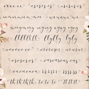 Fashionista Modern Calligraphy Script Font Commercial Download image 8