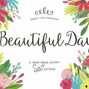 Beautiful Day Script Ornaments Hand Drawn Font Commercial Download image 1