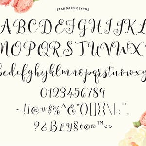 Storybook Hand-Lettered Calligraphy Script Font Commercial Download image 9