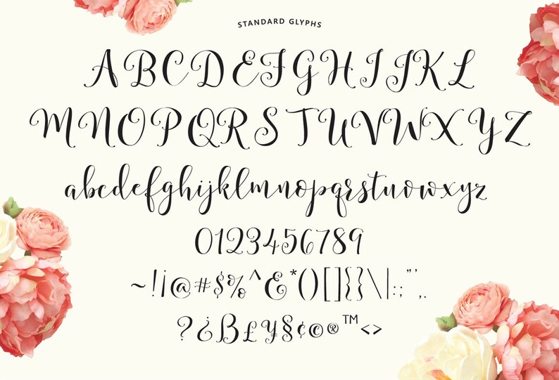 Storybook Hand-Lettered Calligraphy Script Font Commercial Download image 9