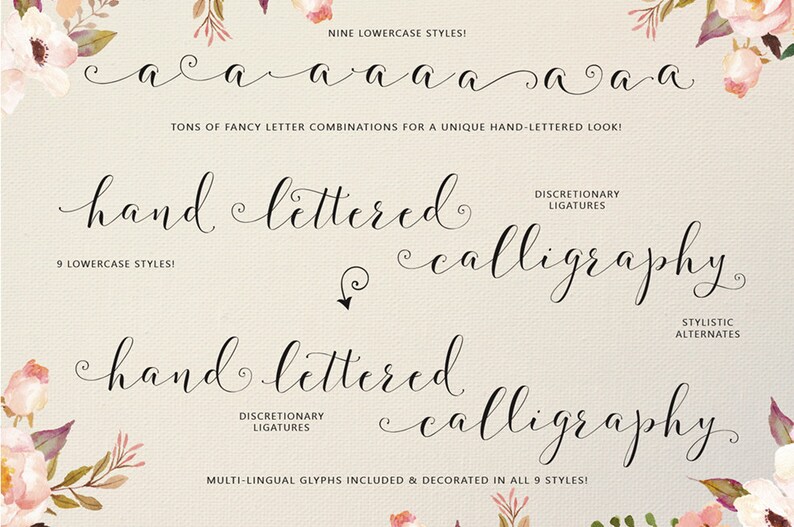 Fashionista Modern Calligraphy Script Font Commercial Download image 5