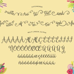 Beautiful Day Script Ornaments Hand Drawn Font Commercial Download image 4