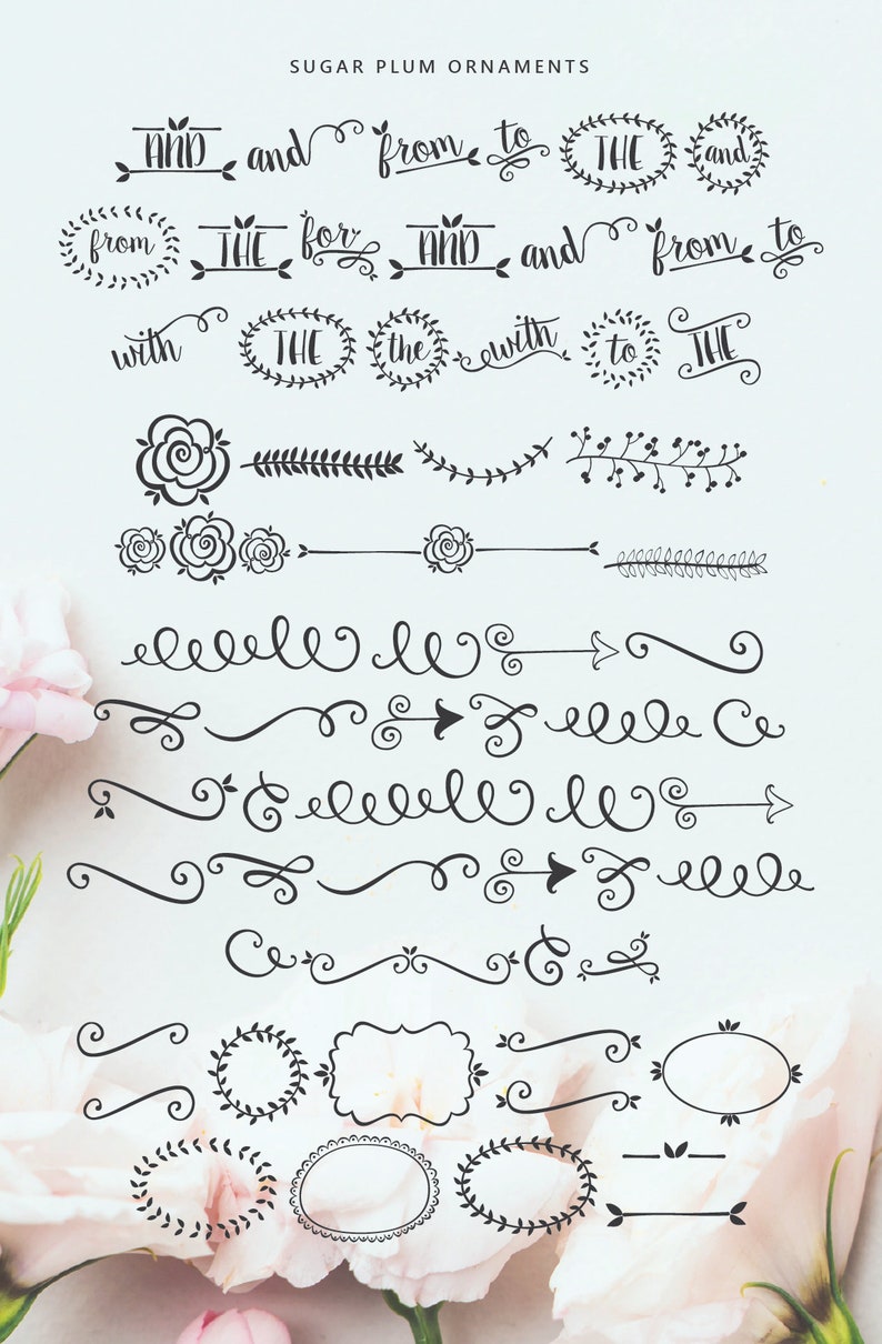 Sugar Plums Script Hand-Lettered Font Download aka Sweet Pea image 4