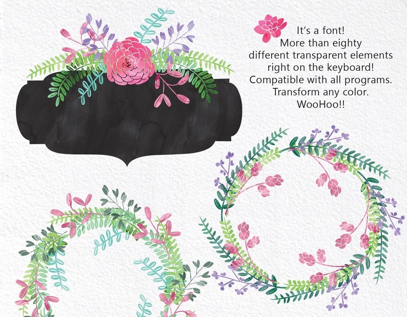 Bittersweet Floral Elements Editable Vector Clip art Font Download Personal Commercial Dingbat Font image 3