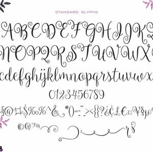 Carried Away and Monogram Bonus Cursive Script Font Download Personal or Commercial original Ballerina Script image 2