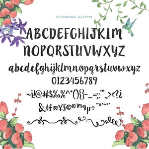 Ink Blossoms Hand Drawn Font Commercial Download aka LillyBelle image 2