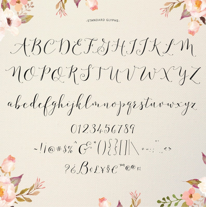 Fashionista Modern Calligraphy Script Font Commercial Download - Etsy UK