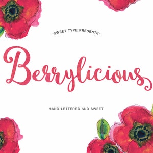 Berrylicious handritat typsnitt handbokstäver kursiv penselskript kommersiell nedladdning
