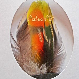 Grußkarte EXOTIC