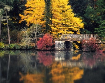 Fall Autumn Bridge Landscape Photograph, Water Reflection, Leaf Season, Amber Colors, Vibrant Leaves, Warm Scene, Wall Art, Large Print