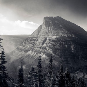 May include: A black and white photograph of a mountain range with a single, tall, dark pine tree in the foreground. The mountain range is covered in trees and has a rocky, layered appearance. The sky is cloudy and the light is soft.