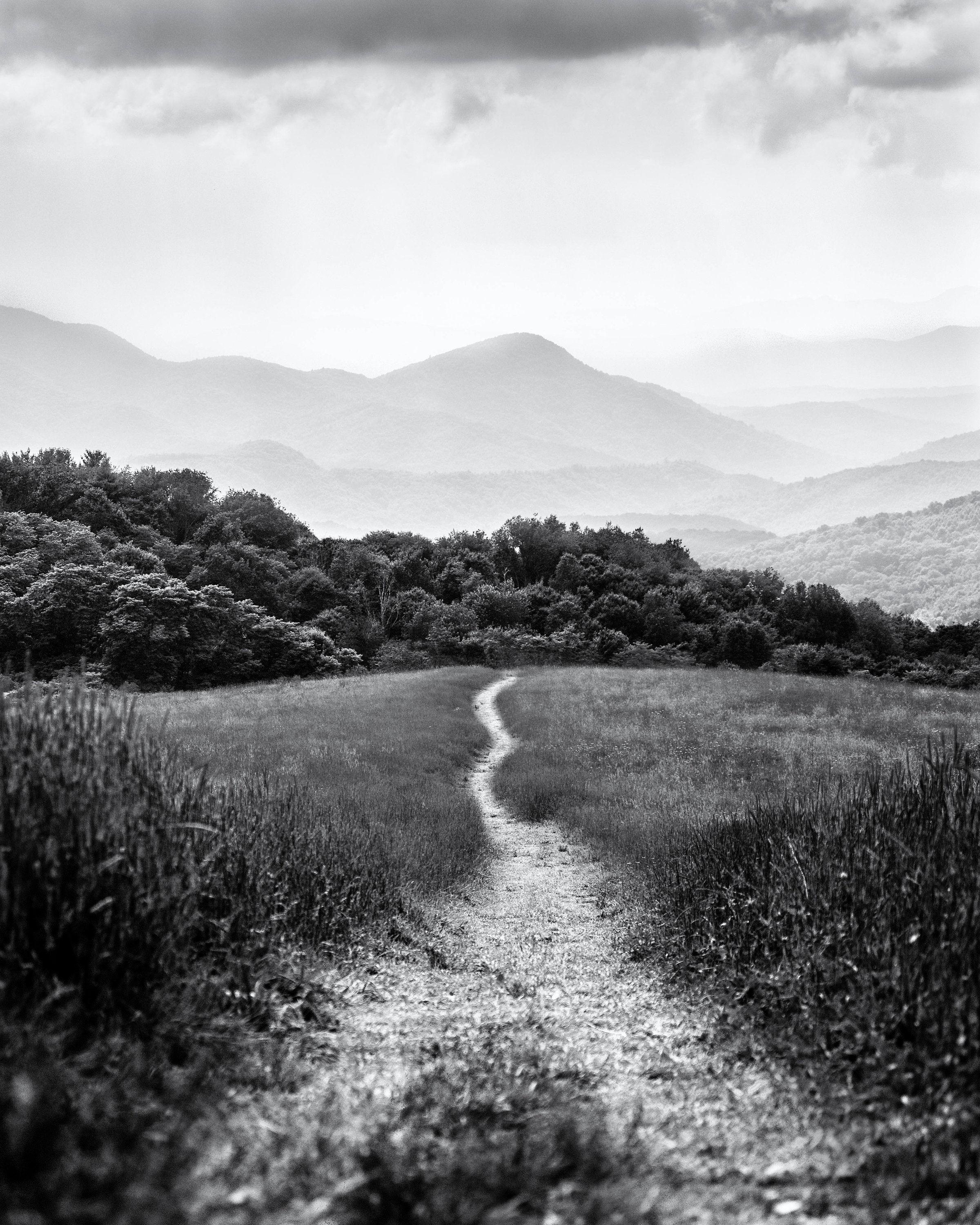 Long Road Home Landscape Photograph, Nature Trail, Lonely