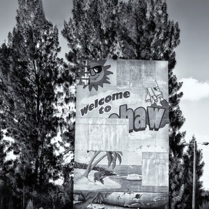 May include: A black and white photo of a sign that says "Welcome to Haw" with a cartoon sun wearing sunglasses and a palm tree scene below. The sign is in front of a row of pine trees.