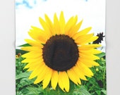 Sunflower, Throw Blanket,Modern Bedroom Decor, Yellow Livingroom Accessories, Bedroom Art,Interior Design,Fleece Blanket, Home Decor,Gift