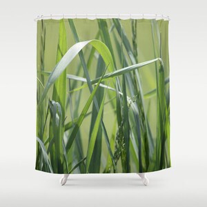 May include: A close-up of green grass blades with a blurred background. The blades are long and thin, with a light green color. The background is a light green color, and the blades are in focus.