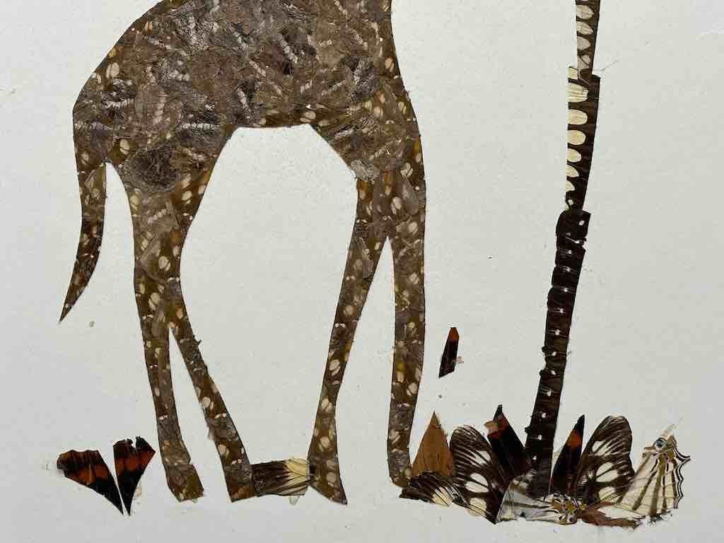 蝶の羽によるコラージュ絵画 蝶と薔薇○コラージュアート○10×10