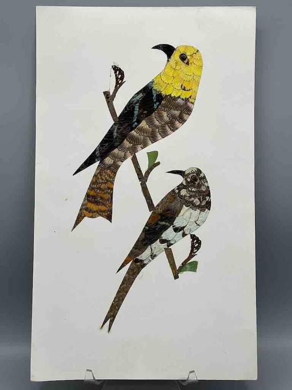 2羽の熱帯鳥のデザイン 本物の蝶の羽根 額装可能なアート - 中央