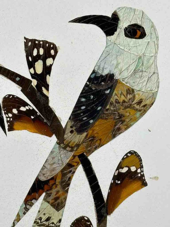 3羽の熱帯鳥のデザイン 本物の蝶の羽根 額装可能アート - 中央アフリカ