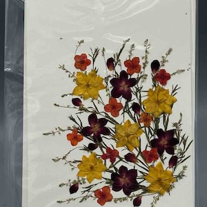 Handmade Pressed Dried Real Flower Greeting Card - Floral Corner