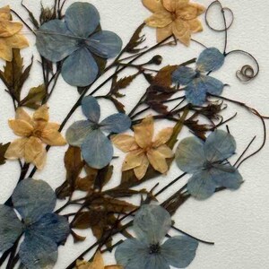 Handmade Pressed Dried Real Flower Greeting Card - Floral Corner