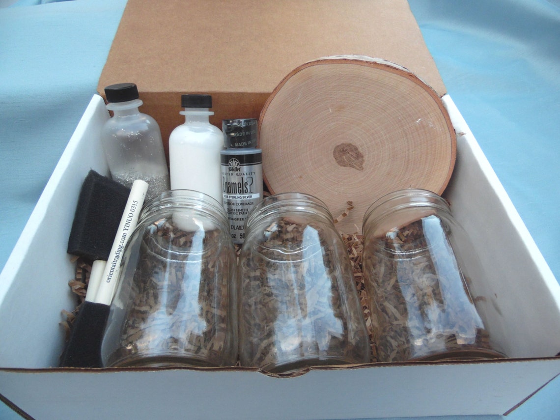 Painted Mason Jar Centerpiece DIY Craft Kit image 0