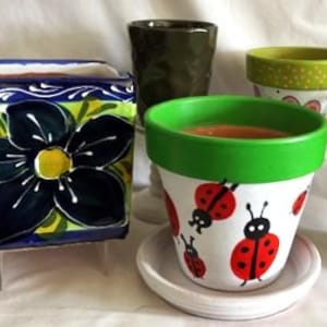 May include: A collection of four plant pots including a square blue pot with a large black flower, a dark green textured pot, a white pot with red ladybug illustrations and a green rim, and a small white pot containing a green plant.