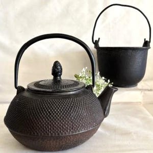 May include: Two cast iron teapots. The teapot on the left has a textured surface, a lid with a decorative knob, and a curved handle. The teapot on the right is a small, round pot with a handle. Both are black.