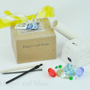 Medium Treasure Dig, Optional Safety Glasses by Harper and Muse