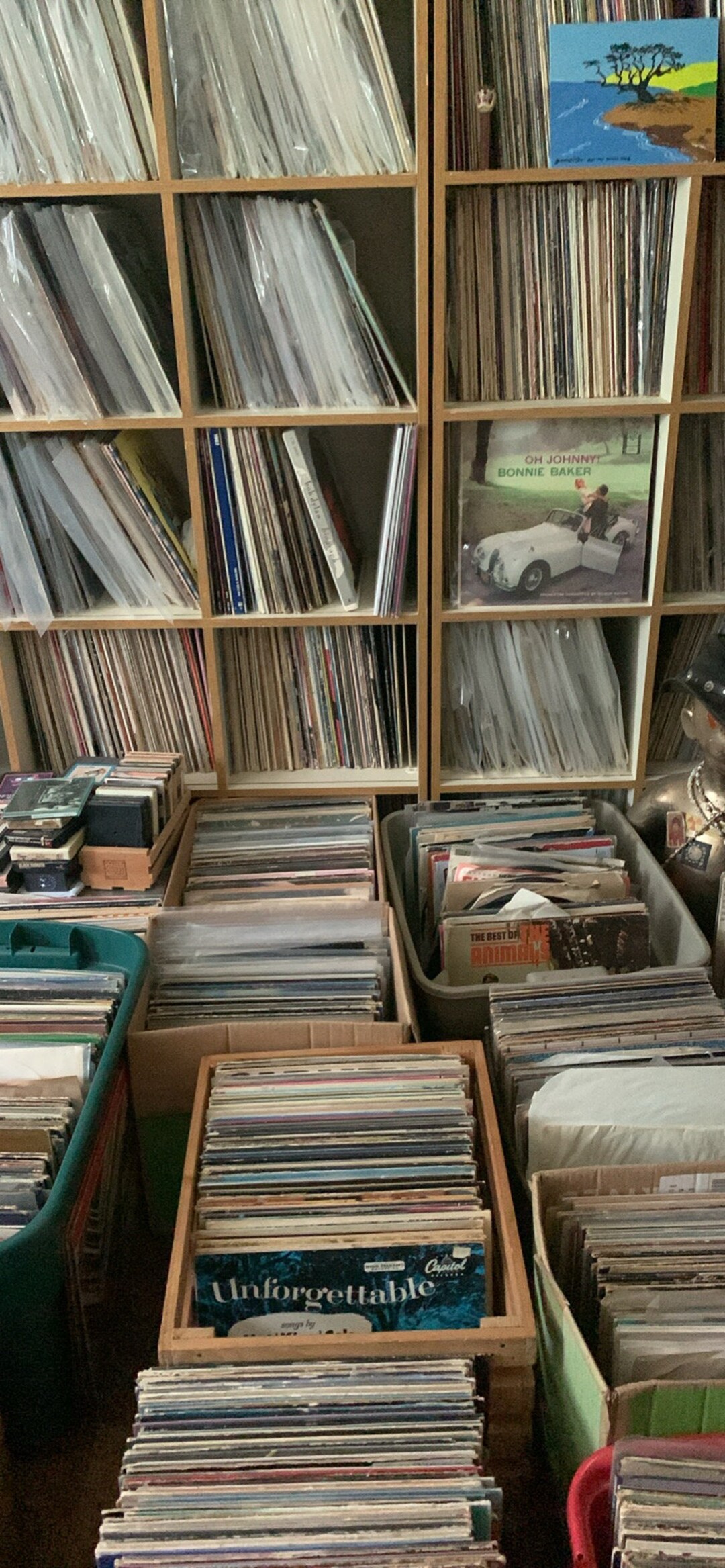 レコード 10枚 セット il_1080xN.6057449256_kc6a.jpg