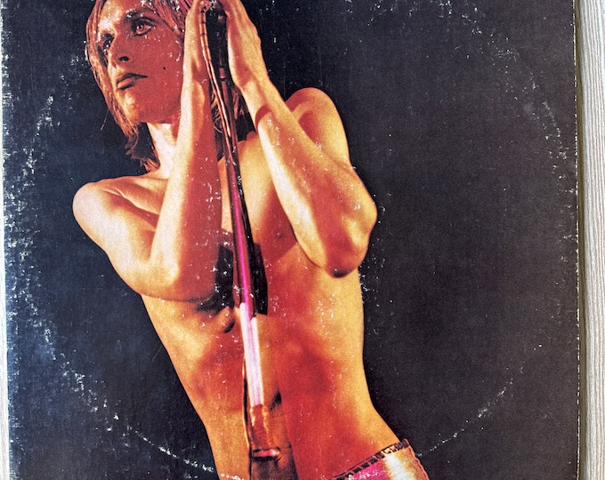 Iggy and the Stooges Vinyl Record Album Raw Power