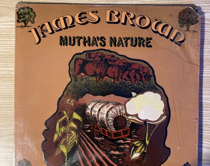 James Brown Vinyl Record Album "Mother's Nature"
