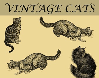 Vintage Cats Clip Art