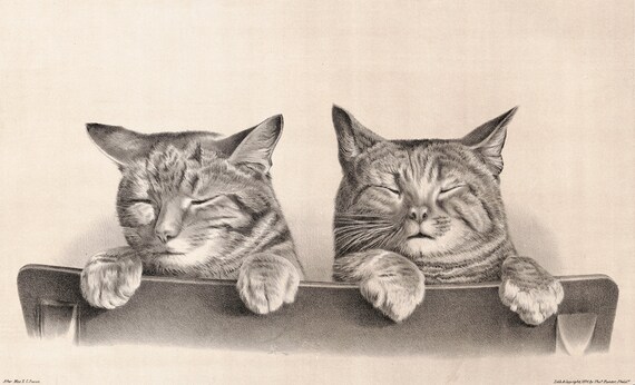 Vintage Cat Illustration Of Sleeping Cats Digital Download Etsy Vintage Cat Illustration Of Sleeping Cats Digital Download Etsy