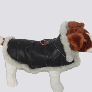Genuine Sheepskin Dog Coat - Real shearling handmade. Dog jacket made with the sheepskin and sheep wool by Ben Katz - Katz Leather