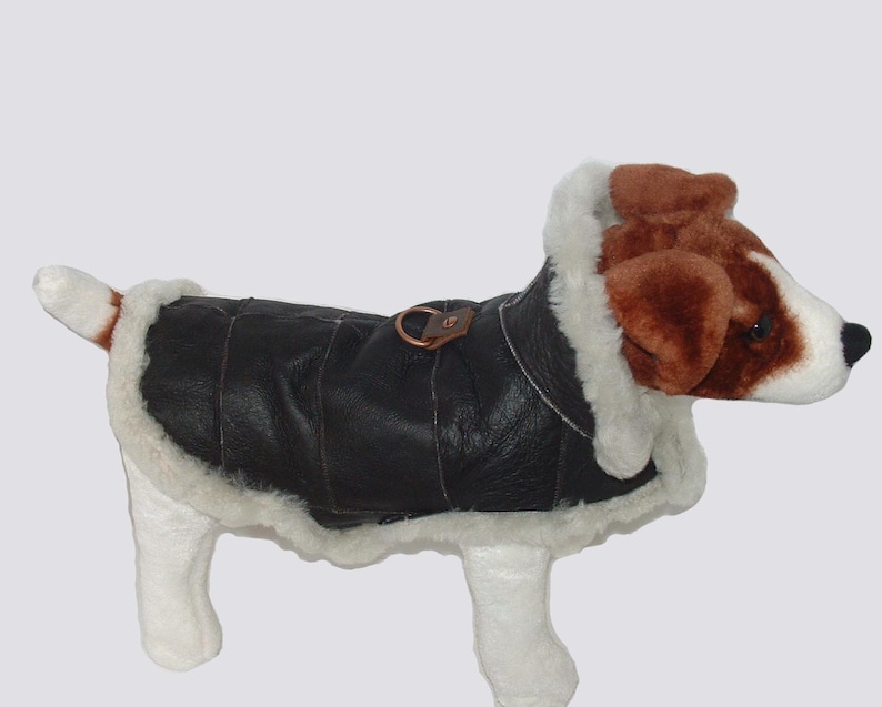 Genuine Sheepskin Dog Coat Real Shearling Handmade. Dog Etsy