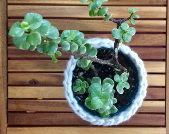 Crochet Plant Basket Tutorial Download for Beginners | Crochet Pattern Download Planter Basket Bowl | Boho Decor | Jungalow Style Planter