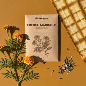 Franse goudsbloem bloemzaden natuurlijke kleurstof tuinplant gele bloem stampende homeschool natuurstudie ambacht ecoprint kinderen zomeractiviteit
