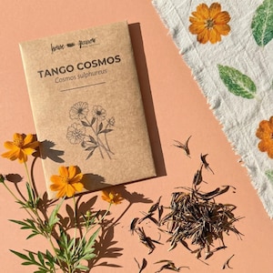 Tango kosmos bloemzaden kleurstof plantentuin oranje natuurlijke kleurstof ecoprint bundelkleurstof goud bloemen stampende plantenprint kinderen lenteactiviteit