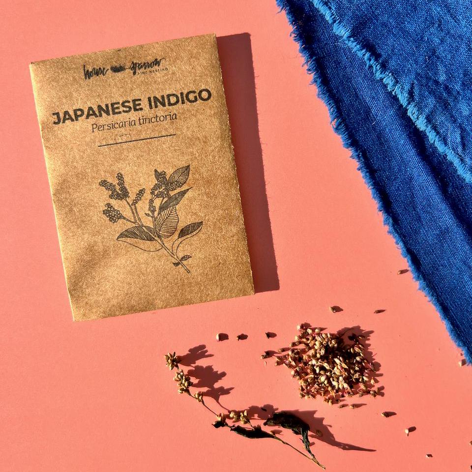 Indigo Plants - Etsy Indigo Plants - Etsy