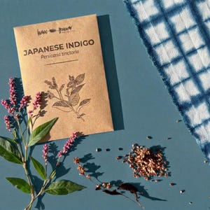 Natuurlijke kleurstof plantenzaden indigo blauwe plantenverf tuinplant verven doe-het-zelf cadeau voor crafter indigo kleurstof project milieuvriendelijk uniek cadeau voor haar