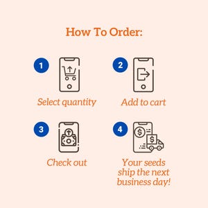 Op de afbeelding: Een infographic op een perzikkleurige achtergrond, met details over de bestelstappen. De stappen omvatten het selecteren van de hoeveelheid, toevoegen aan winkelwagen, afrekenen en verzending de volgende werkdag. Elke stap wordt weergegeven door een smartphone-pictogram.