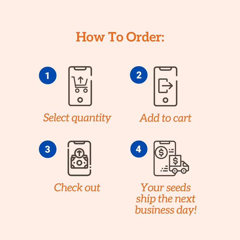 Op de afbeelding: Een infographic op een perzikkleurige achtergrond, met details over de bestelstappen. De stappen omvatten het selecteren van de hoeveelheid, toevoegen aan winkelwagen, afrekenen en verzending de volgende werkdag. Elke stap wordt weergegeven door een smartphone-pictogram.