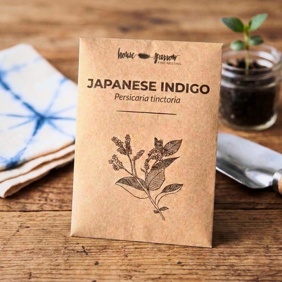 Japanese indigo seeds shibori dye garden kit homeschool science activity natural dye plant blue nature study montessori gardening craft