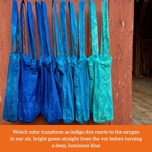 Pode incluir: Uma fileira de sacolas tingidas com &iacute;ndigo em tons variados de azul e verde-azulado penduradas em um fundo de madeira desgastada. As sacolas t&ecirc;m al&ccedil;as longas e s&atilde;o exibidas ao ar livre. A imagem inclui texto que descreve o processo de transforma&ccedil;&atilde;o da cor.