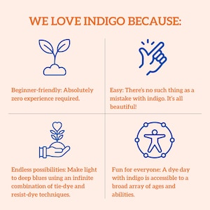 May include: A graphic with the text "WE LOVE INDIGO BECAUSE:" and four reasons: beginner-friendly, easy, endless possibilities, and fun for everyone. Each reason is accompanied by a blue line drawing.