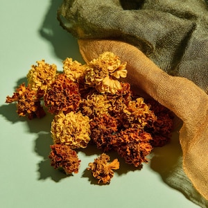 Dried marigold flower natural dye flowers orange bundle dyeing supplies printing plant dye organic craft supply yellow flower dye plant gift