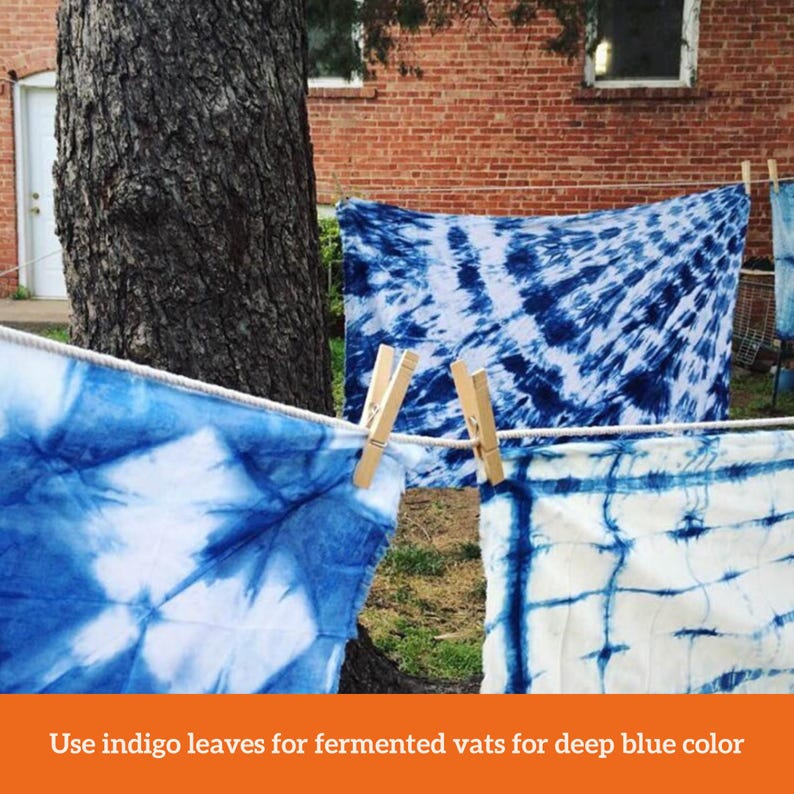 Op de afbeelding: Verschillende stukken stof met een blauw-wit tie-dye patroon hangen aan een waslijn, vastgezet met houten knijpers. De tekst onderaan luidt: Gebruik indigobladeren voor gefermenteerde vaten voor diepblauwe kleur.