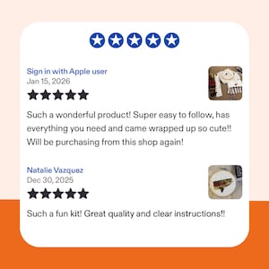 May include: A digital graphic displaying two five-star customer reviews. The first review by Sign in with Apple user on Jan 15, 2026, includes a thumbnail of an embroidery kit. The second review by Natalie Vazquez on Dec 30, 2025, shows a finished fish embroidery.